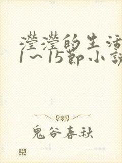 滢滢的生活日记1～15节小说封面