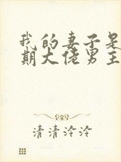 我的妻子是大乘期大佬男主几个老婆