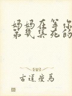 妈妈在等你老大第几集死的