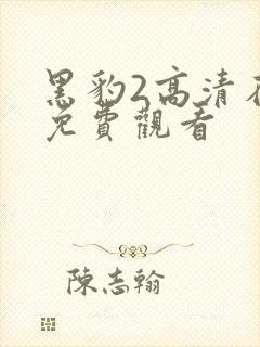 黑豹2高清在线免费观看封面