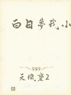 白日梦我小说