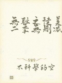 无耻之徒美版第二季无删减