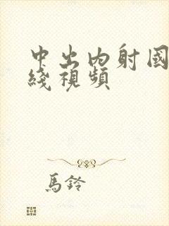 中出内射国产在线视频封面