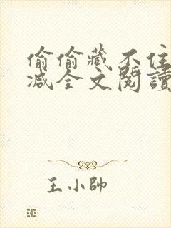 偷偷藏不住无删减全文阅读免费封面