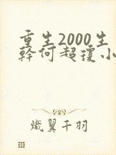 重生2000生干何超琼小说