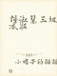 钟淑慧三级无删减版封面