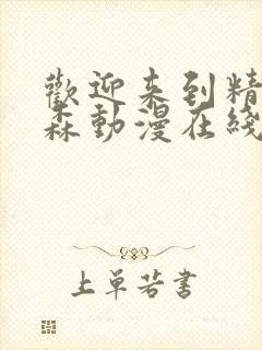 欢迎来到精灵之森动漫在线观看全集