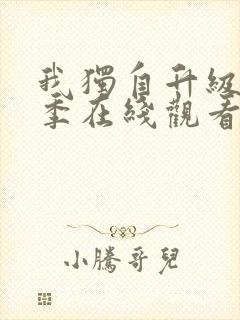 我独自升级第二季在线观看免费版