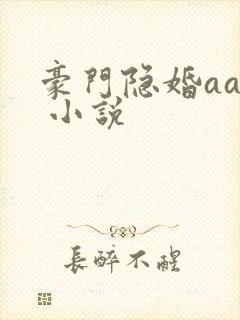豪门隐婚aa制 小说