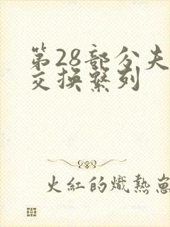 第28部分夫妇交换系列