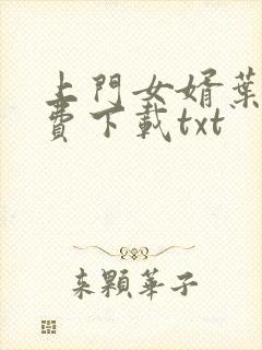 上门女婿叶辰免费下载txt