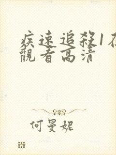 疾速追杀1在线观看高清