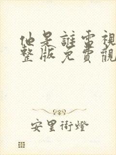 他是谁电视剧完整版免费观看高清