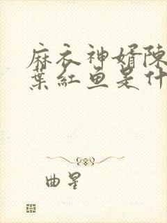 麻衣神婿陈黄皮叶红鱼是什么身份