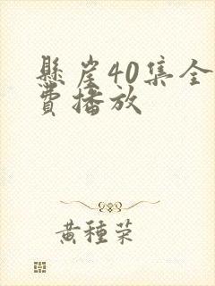 悬崖40集全免费播放