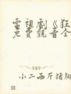 电视剧《狂飙》免费观看全集播放