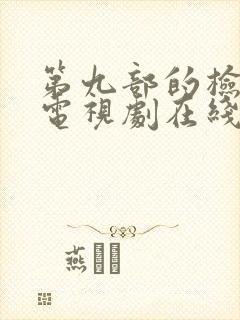 第九部的检察官电视剧在线观看免费