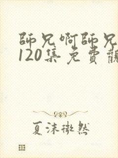 师兄啊师兄动漫120集免费观看