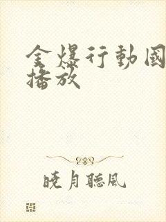 金爆行动国语版播放封面