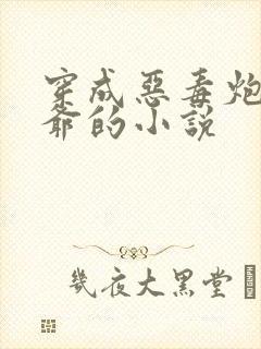 穿成恶毒炮灰少爷的小说