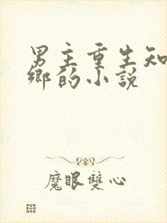 男主重生知青下乡的小说