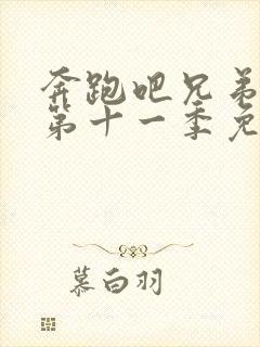 奔跑吧兄弟综艺第十一季免费观看封面