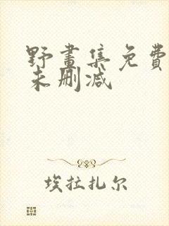 野画集免费观看未删减封面