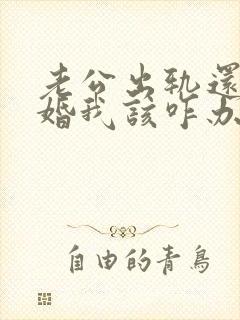 老公出轨还要离婚我该咋办封面