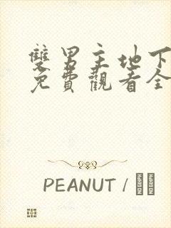 双男主地下偶像免费观看全集动漫