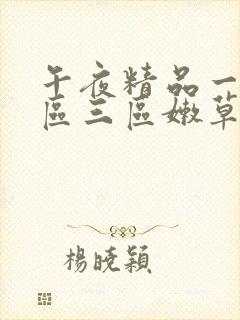 午夜精品一区二区三区嫩草