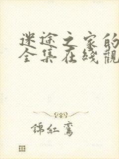 迷途之家的姐姐全集在线观看