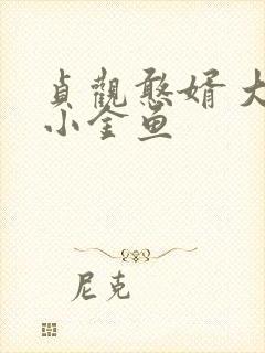 贞观憨婿 大眼小金鱼