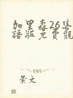 加里森26集国语版免费观看高清