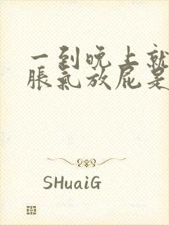 一到晚上就肚子胀气放屁是什么原因