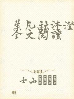 叶凡秋沐澄免费全文阅读封面