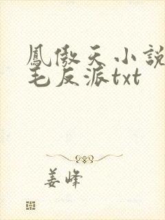 凤傲天小说里黄毛反派txt封面