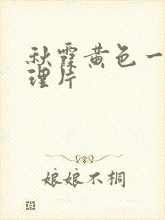 秋霞黄色一级伦理片