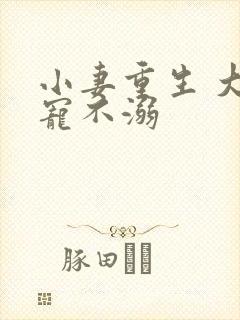 小妻重生 大佬宠不溺