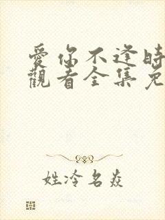 爱你不逢时在线观看全集免费播放