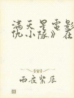 满天星电影《复仇小队》在线观看封面