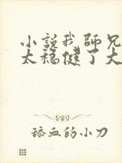 小说我师兄实在太稳健了大结局封面