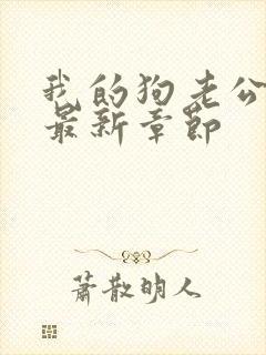 我的狗老公小说最新章节