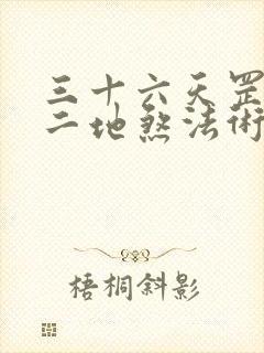 三十六天罡七十二地煞法术