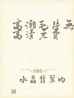 高潮毛片无遮挡高清免费封面