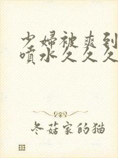 少妇被爽到高潮喷水久久久