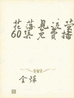 花落见流萤短剧60集免费播放下载