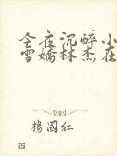 今夜沉醉小说段雪娇林杰在线阅读