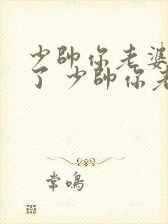 少帅你老婆又跑了 少帅你老婆又跑了