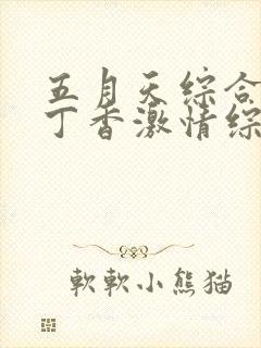 五月天综合婷婷丁香激情综合婷婷丁香