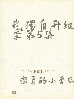 我独自升级第二季第5集